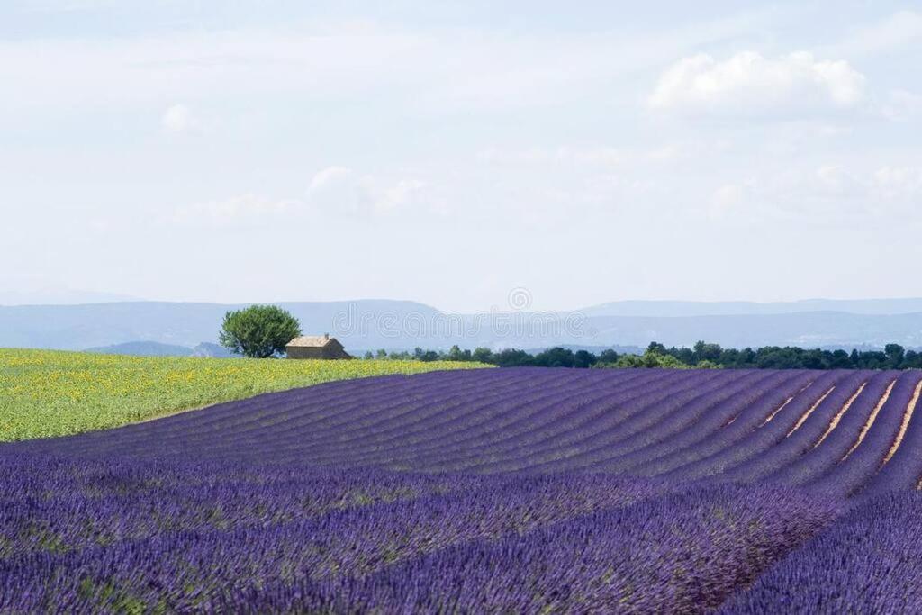 Joli Dans Village Calme En Provence *